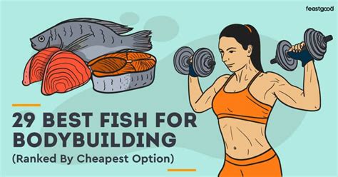 fishnet gym|best fish for bodybuilding.